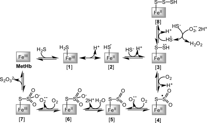 FIGURE 8.