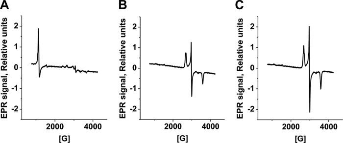 FIGURE 7.