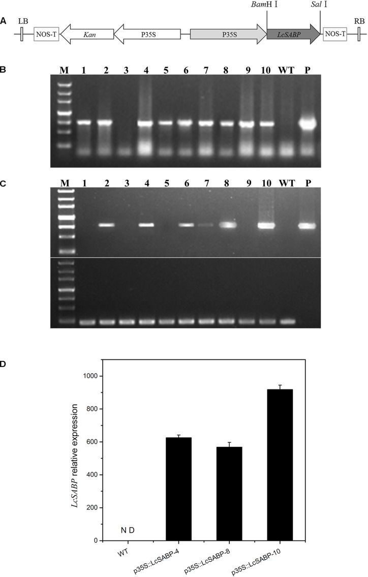 FIGURE 3