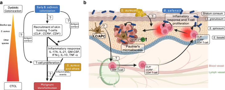 Figure 10