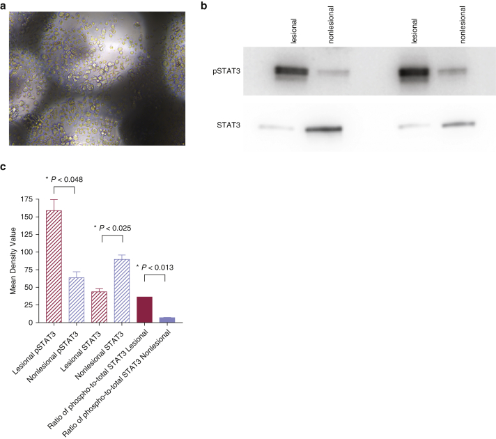 Figure 5