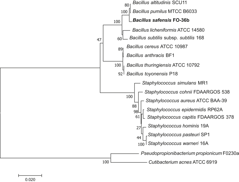 Figure 4