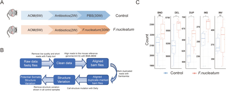 Fig. 3