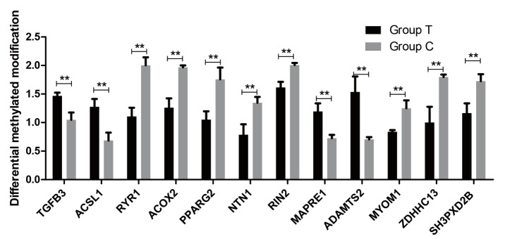 Figure 9