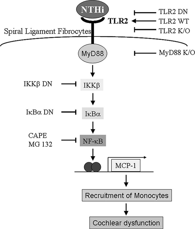 FIG. 6.