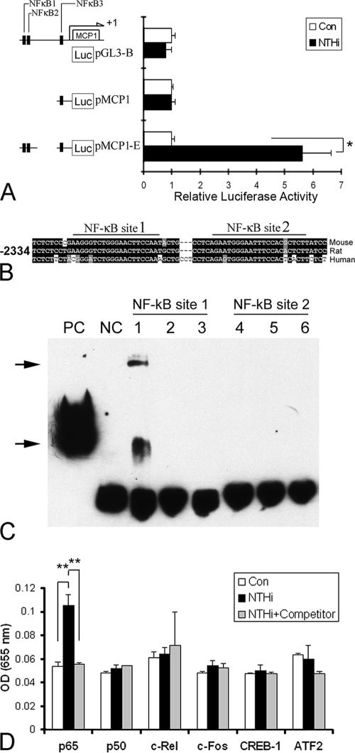 FIG. 5.