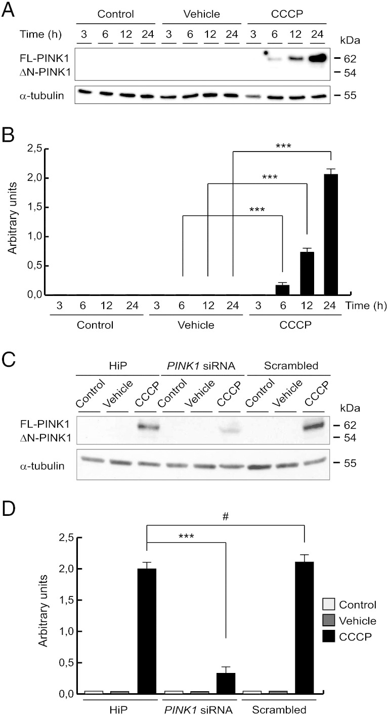 Fig. 3