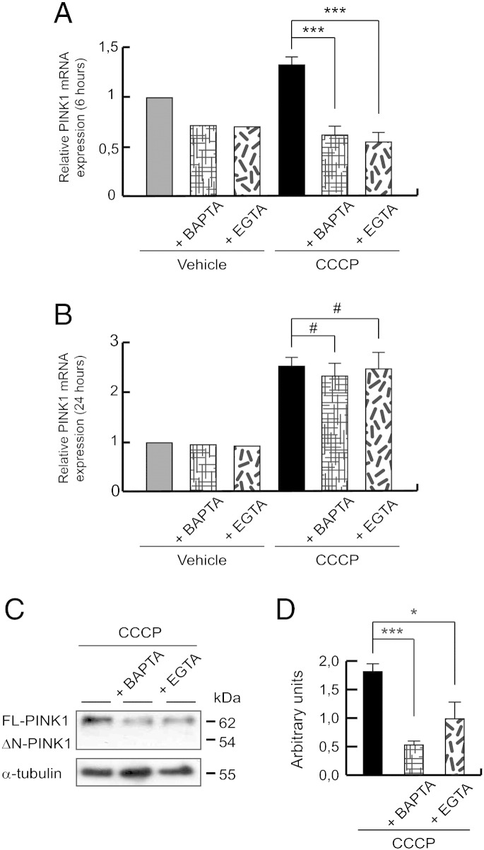 Fig. 8