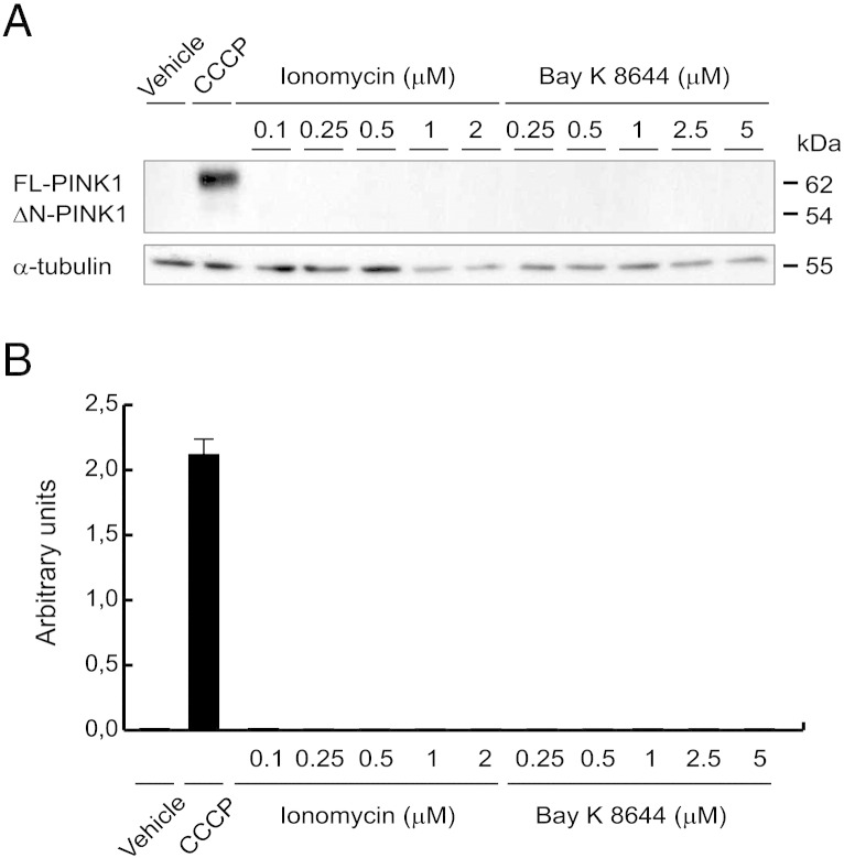 Fig. S3