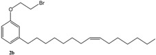 graphic file with name molecules-16-06871-i003.jpg