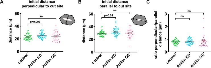 Figure 3—figure supplement 1.