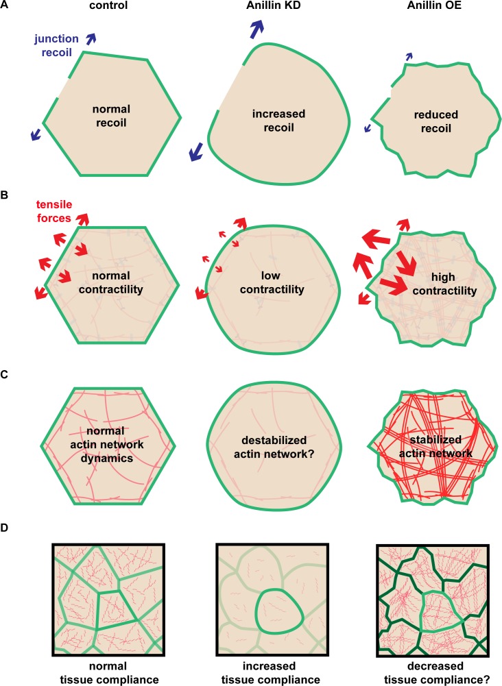 Figure 9.