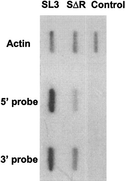 FIG. 5