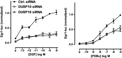 Fig. 7