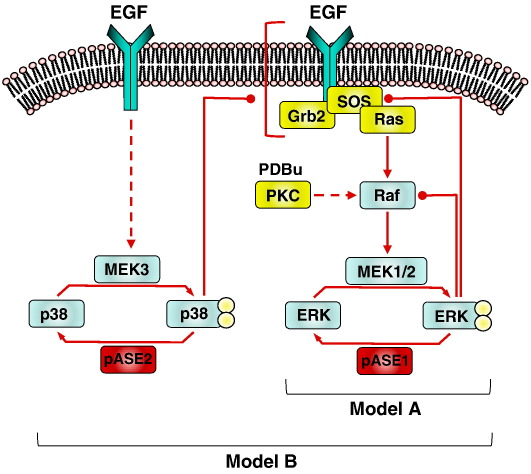 Fig. 8