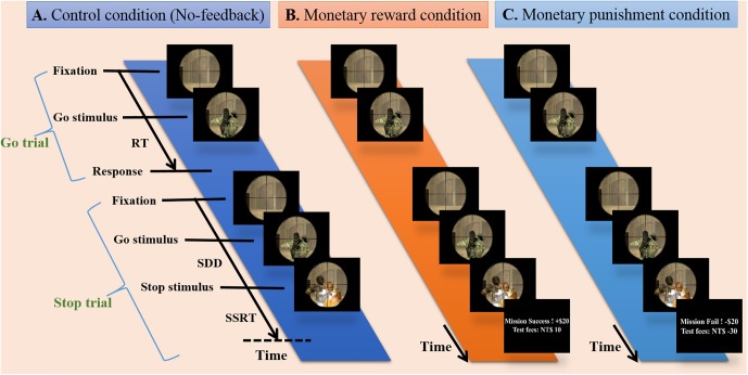 FIGURE 1