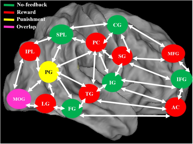 FIGURE 11