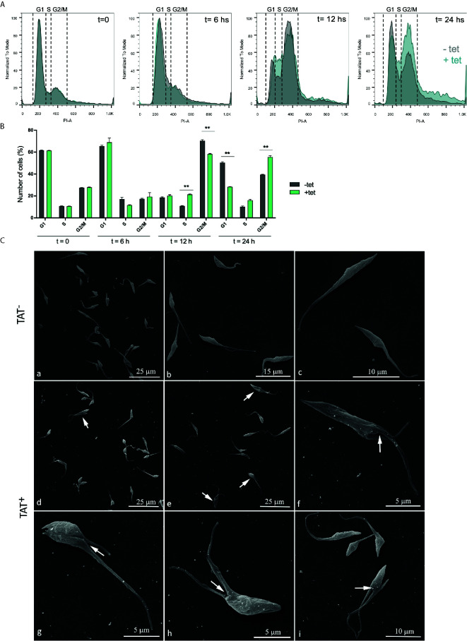 Figure 6