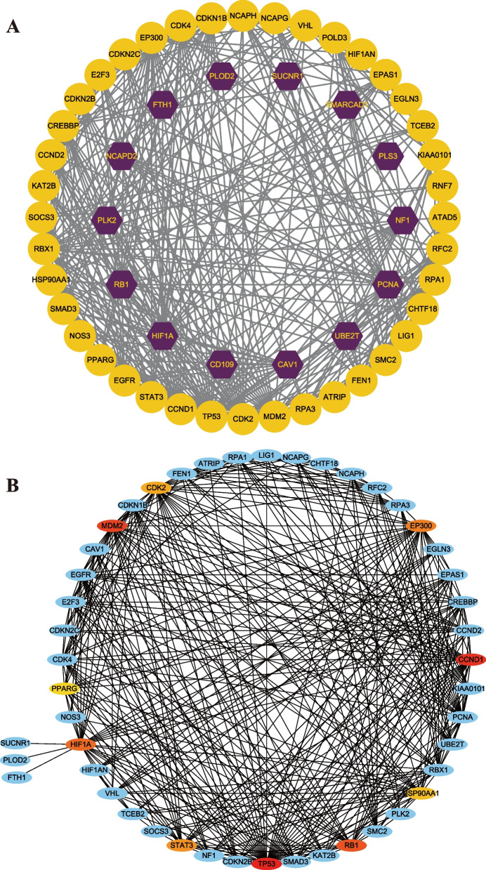 Fig. 4