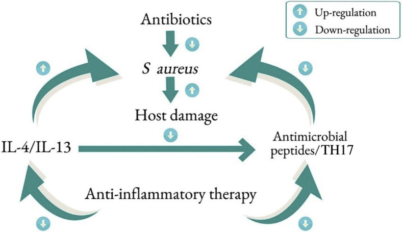 Figure 6