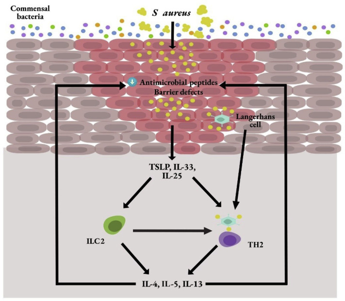 Figure 1