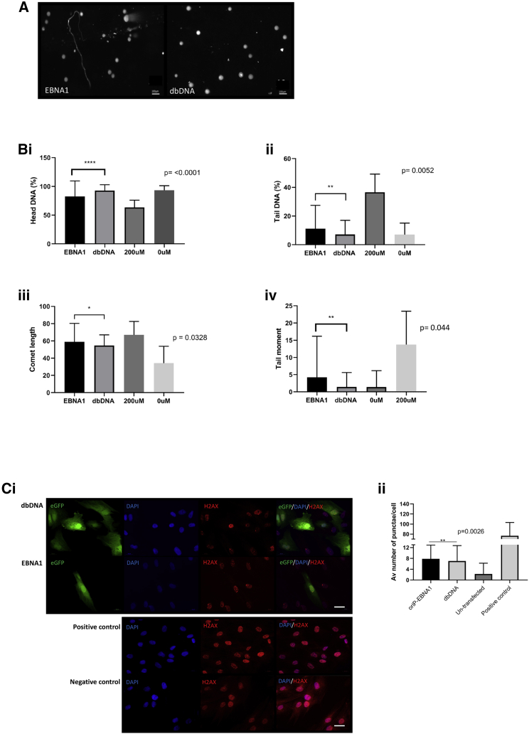 Figure 6