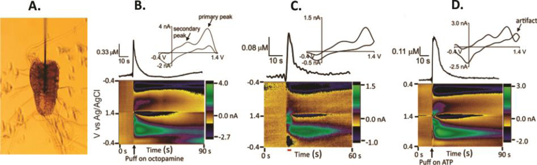 Figure 7