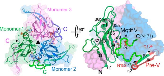 Figure 3.