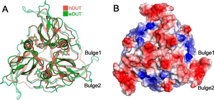 Figure 7.