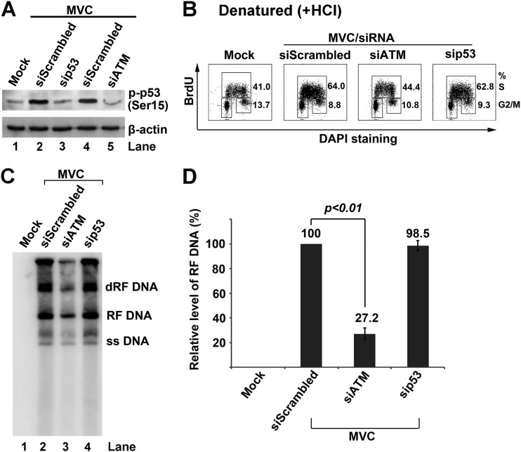 Fig 6