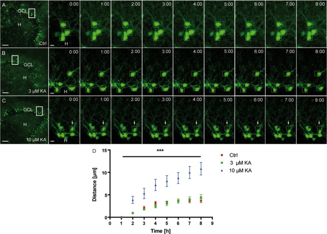 FIGURE 3