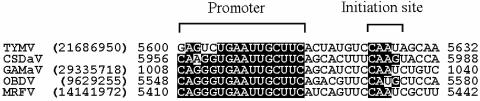 FIG. 6.