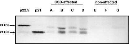 FIG. 5.