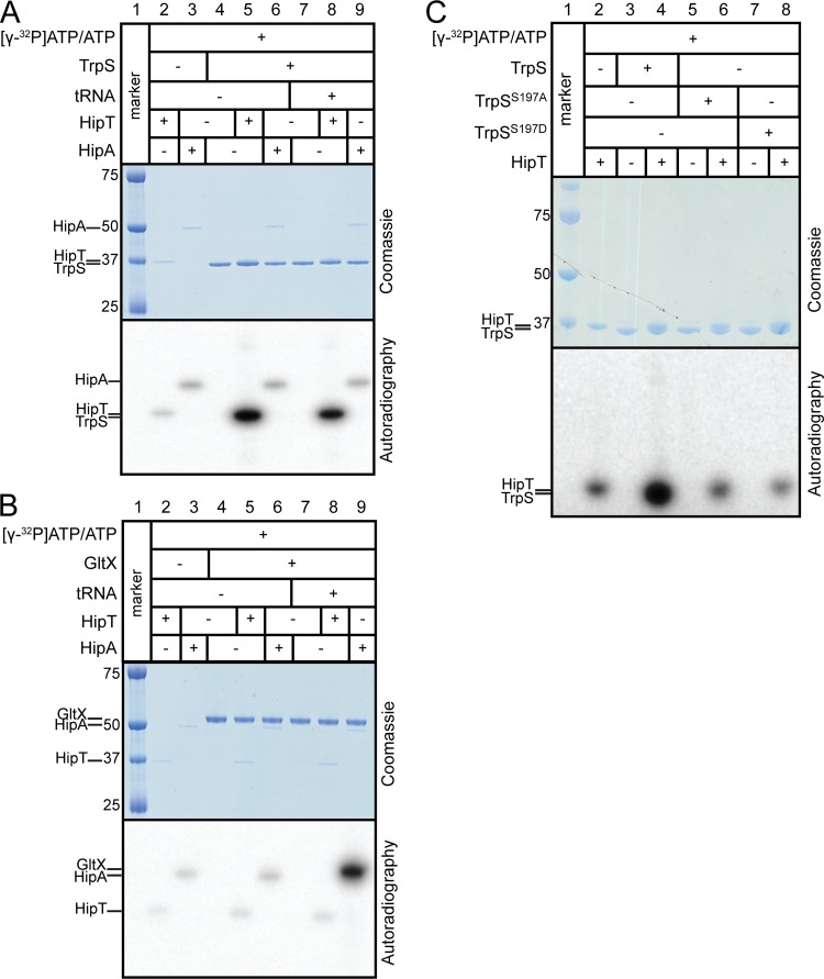 FIG 3