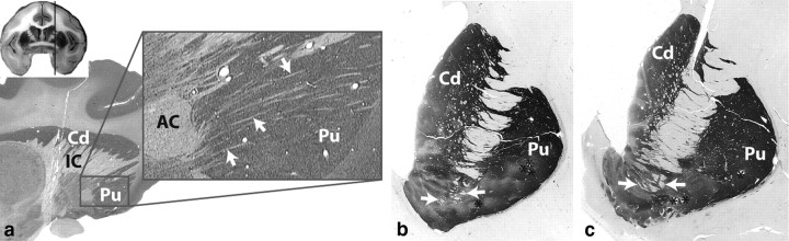 Figure 9.