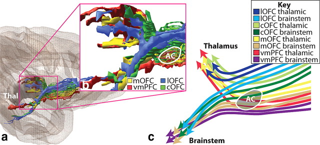 Figure 10.