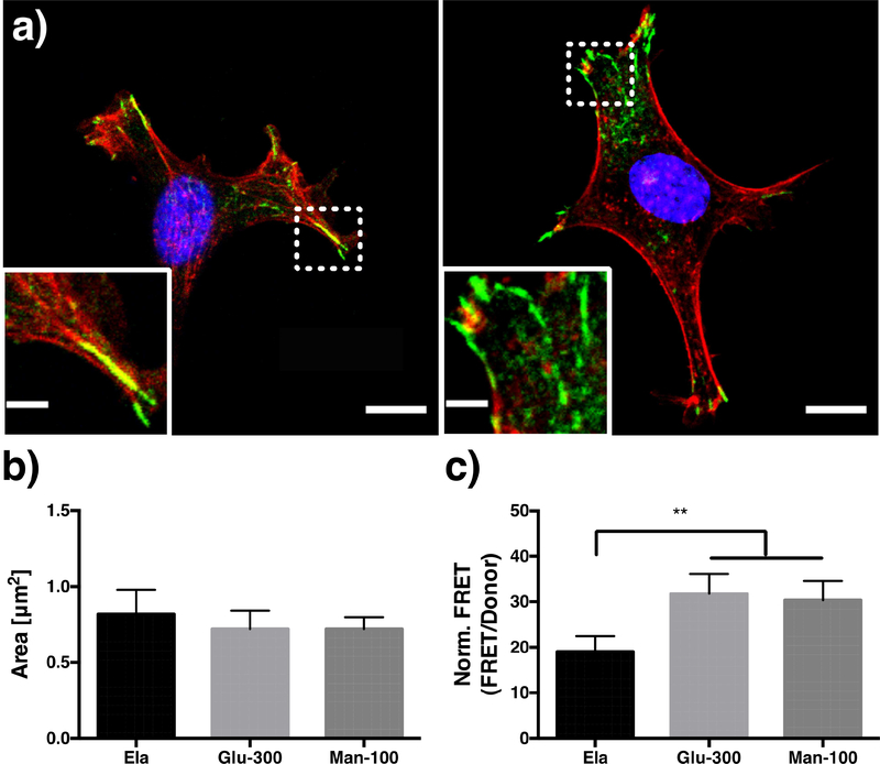 Figure 6: