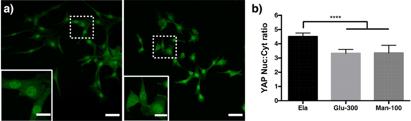 Figure 7: