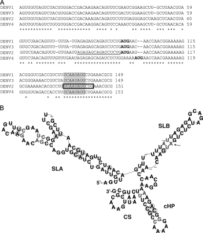 FIG. 1.