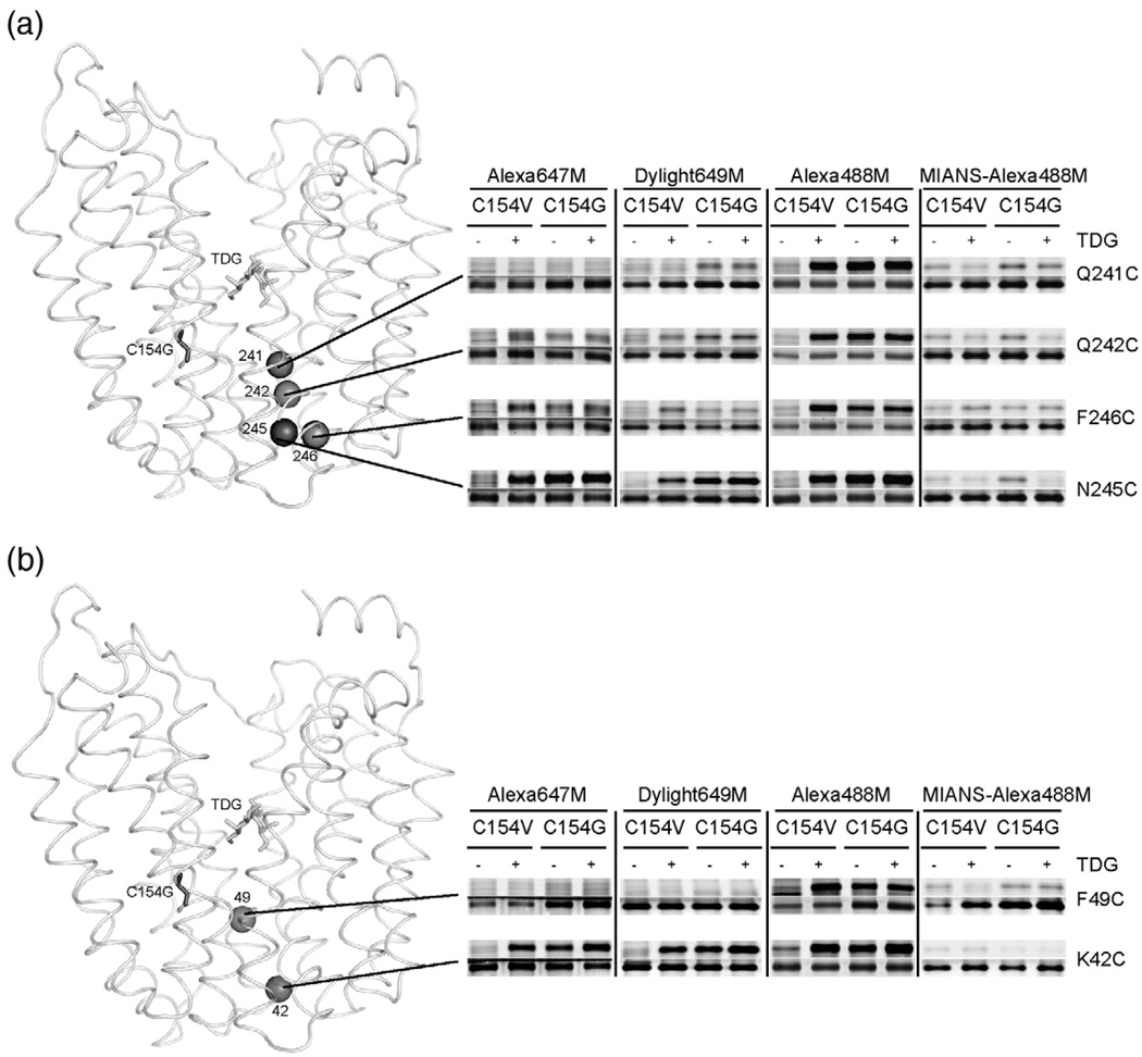 Fig. 3