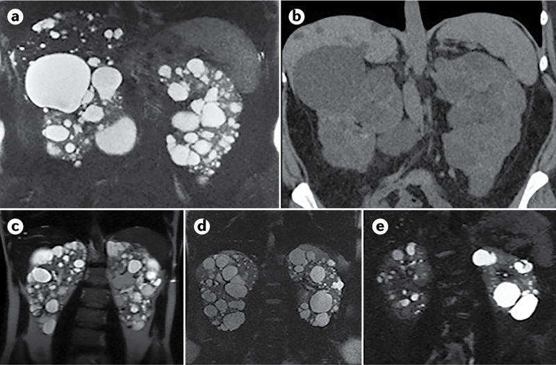 Fig. 7 |