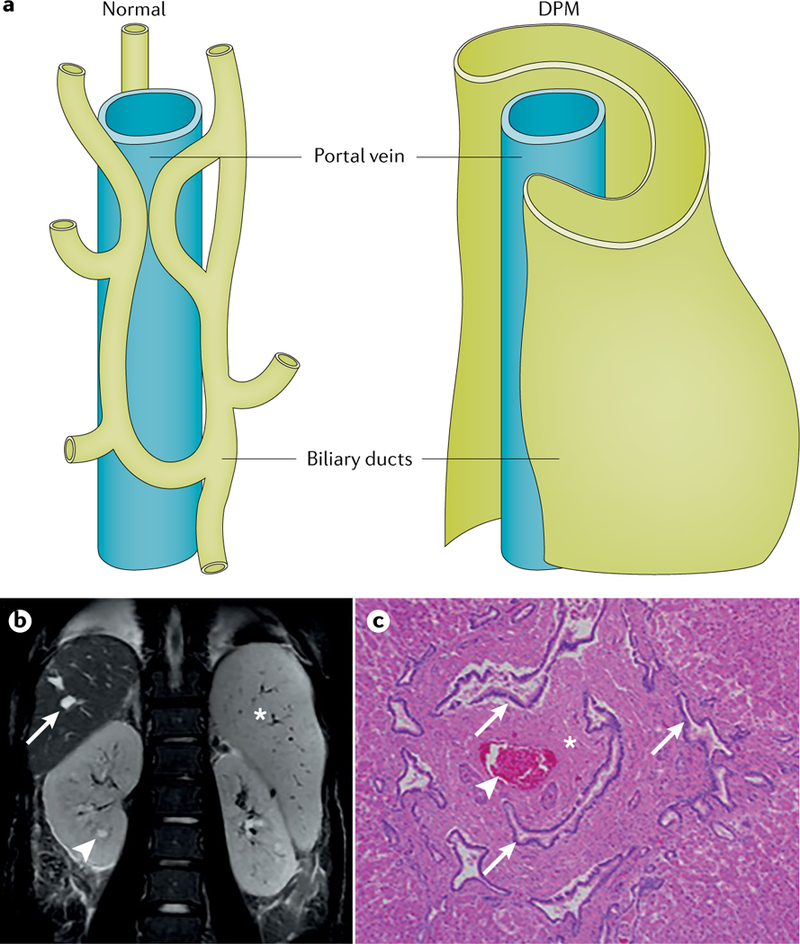 Fig. 6 |