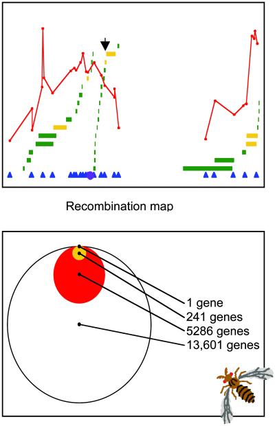 Fig 2.