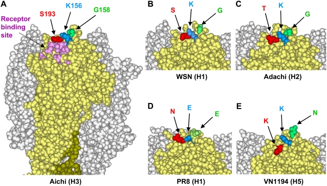 Figure 5