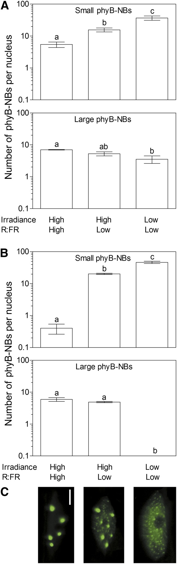 Figure 6.