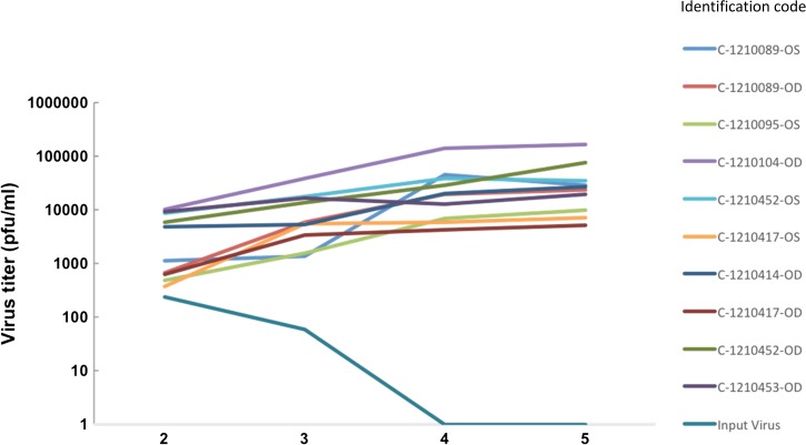 Figure 5.