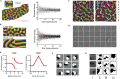 Figure 5