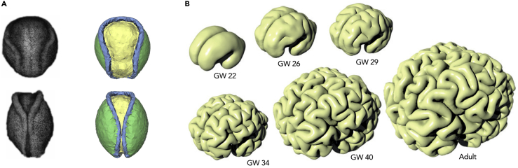 Figure 1