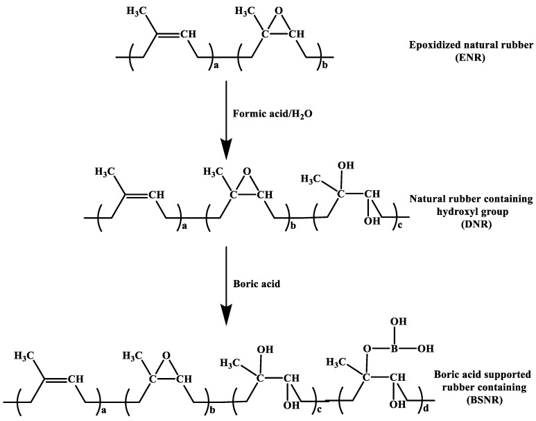 Scheme 5