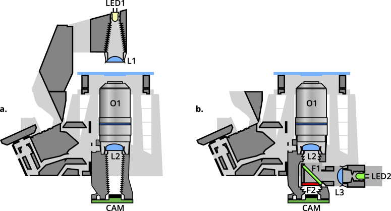 Fig. 2.